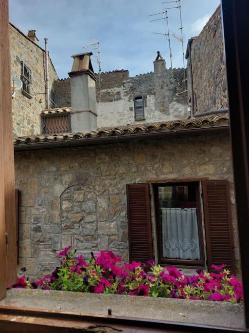 Casa Rosita Vista Lago Bolsena Exteriör bild